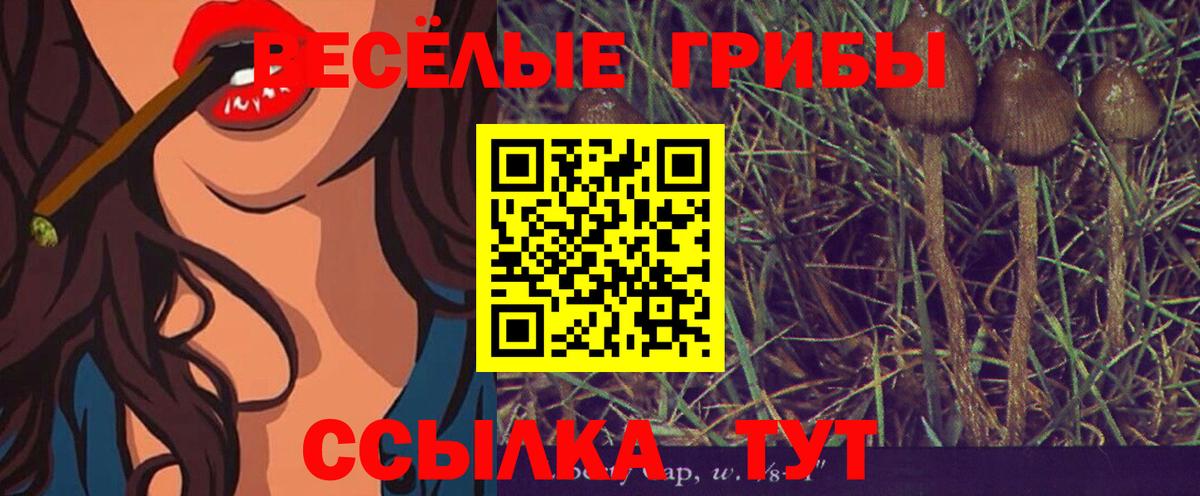 Галлюциногенные грибы мухоморы  наркошоп  Долгопрудный 