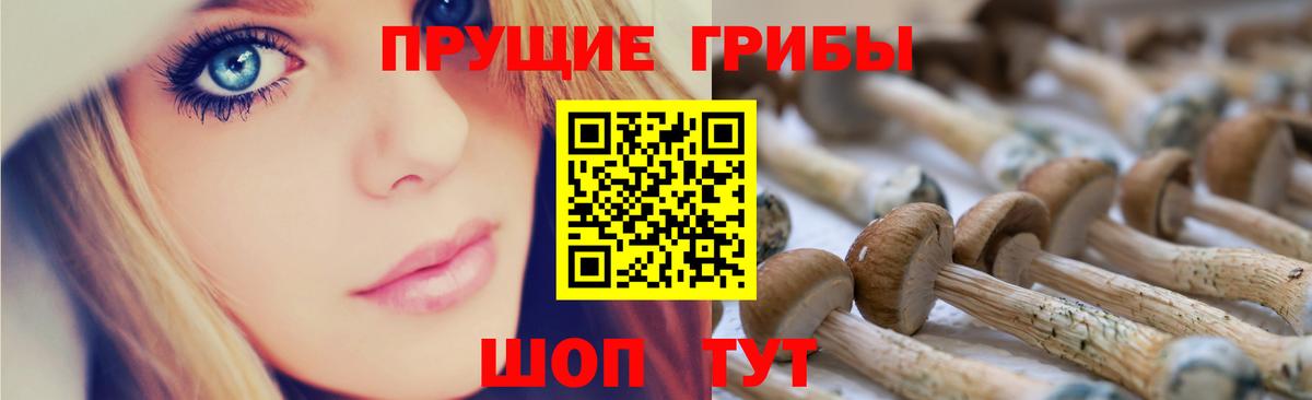 Галлюциногенные грибы GOLDEN TEACHER Долгопрудный